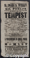 Joy Curnow/THE-JC-3-31.jpg