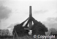 Mills\540045.jpg
