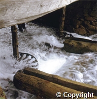Mills\F212865.jpg
