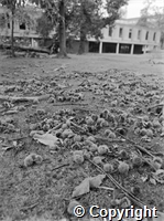 University Archive\UKA.PHO.1.1535.jpg