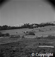 University Archive\UKA.PHO.1.569.jpg