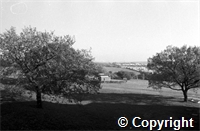 University Archive\UKA.PHO.1.964.jpg